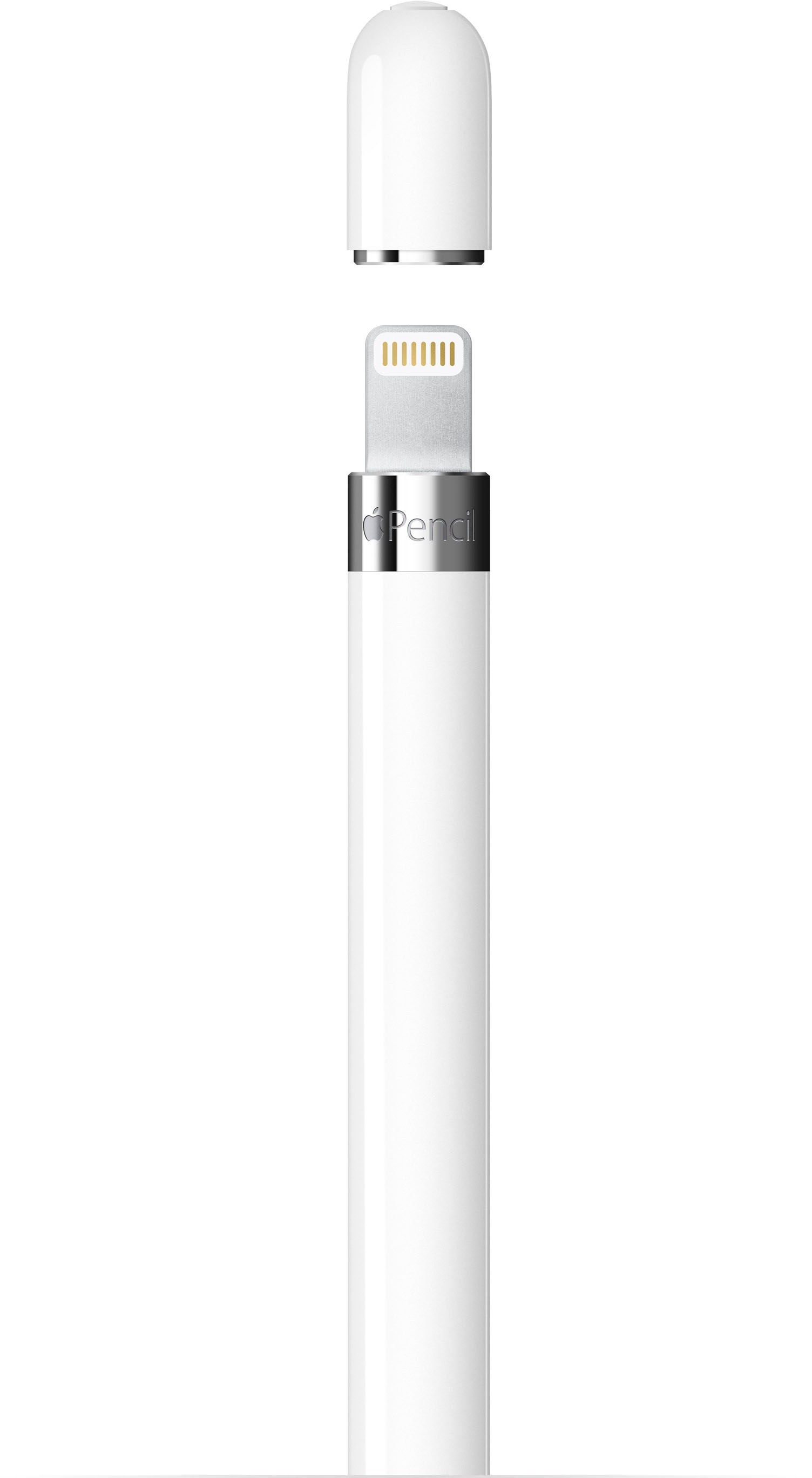 Apple Pencil (1st Generation) with USB-C to Pencil Adapter White