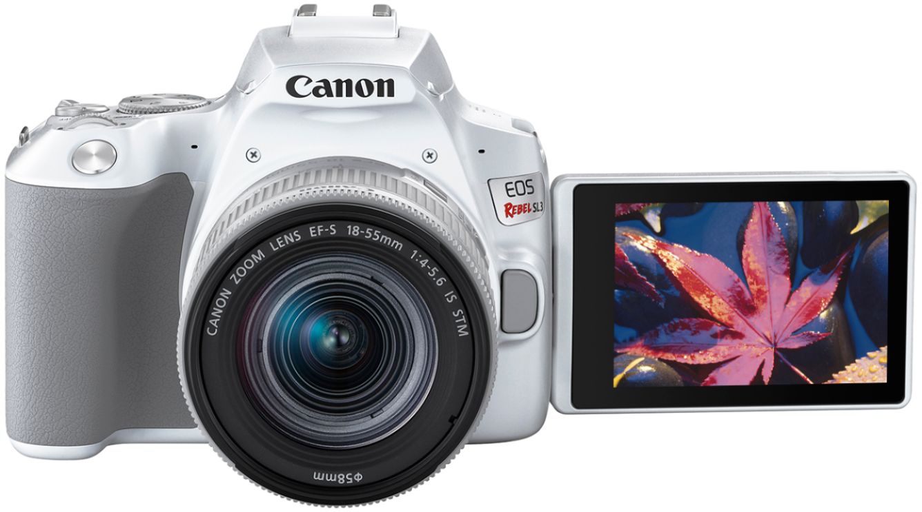 Questions and Answers: Canon EOS Rebel SL3 DSLR Camera with EF-S 18 ...