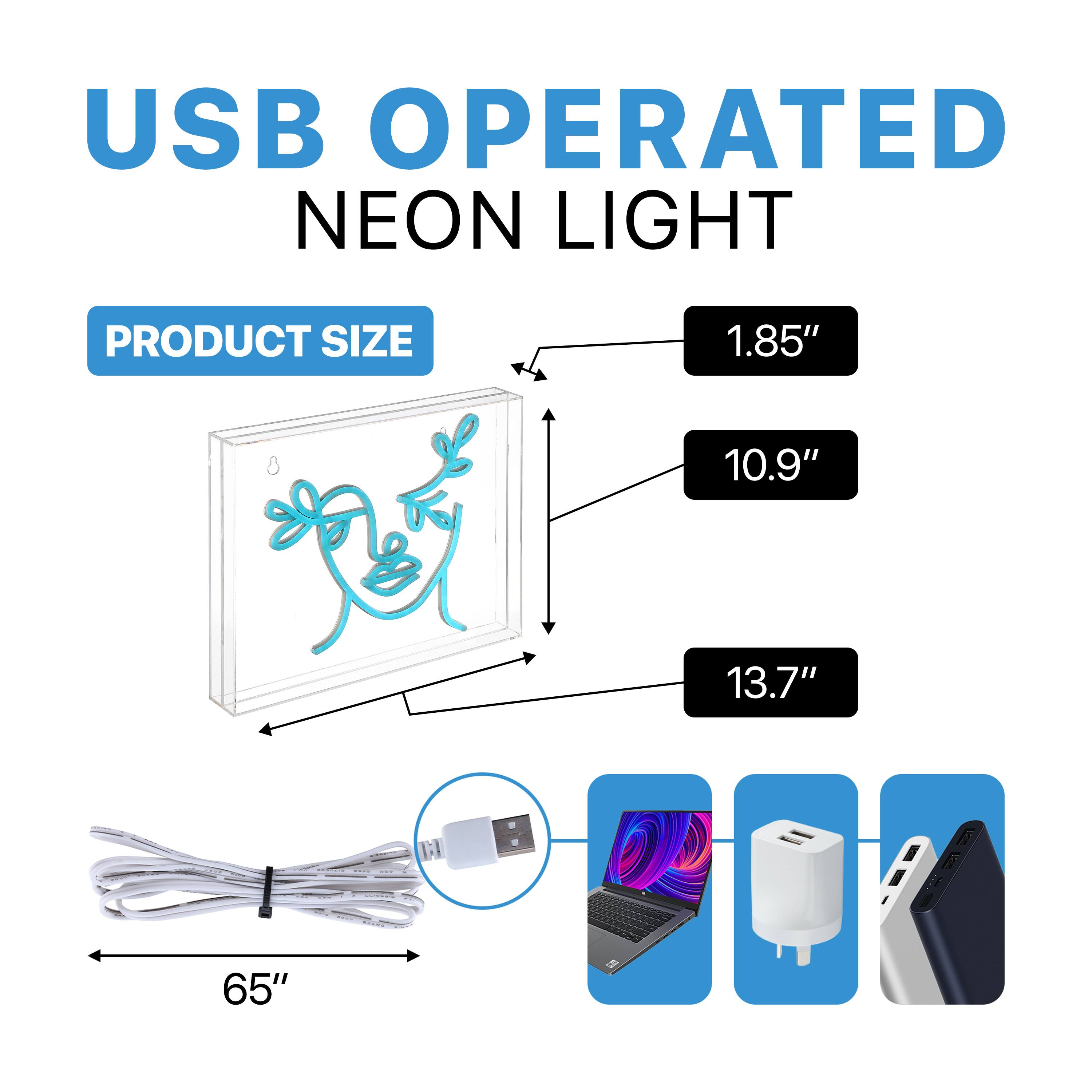 USB OPERATED NEON LIGHT

PRODUCT SIZE

1.85" x 10.9" x 13.7"

65"