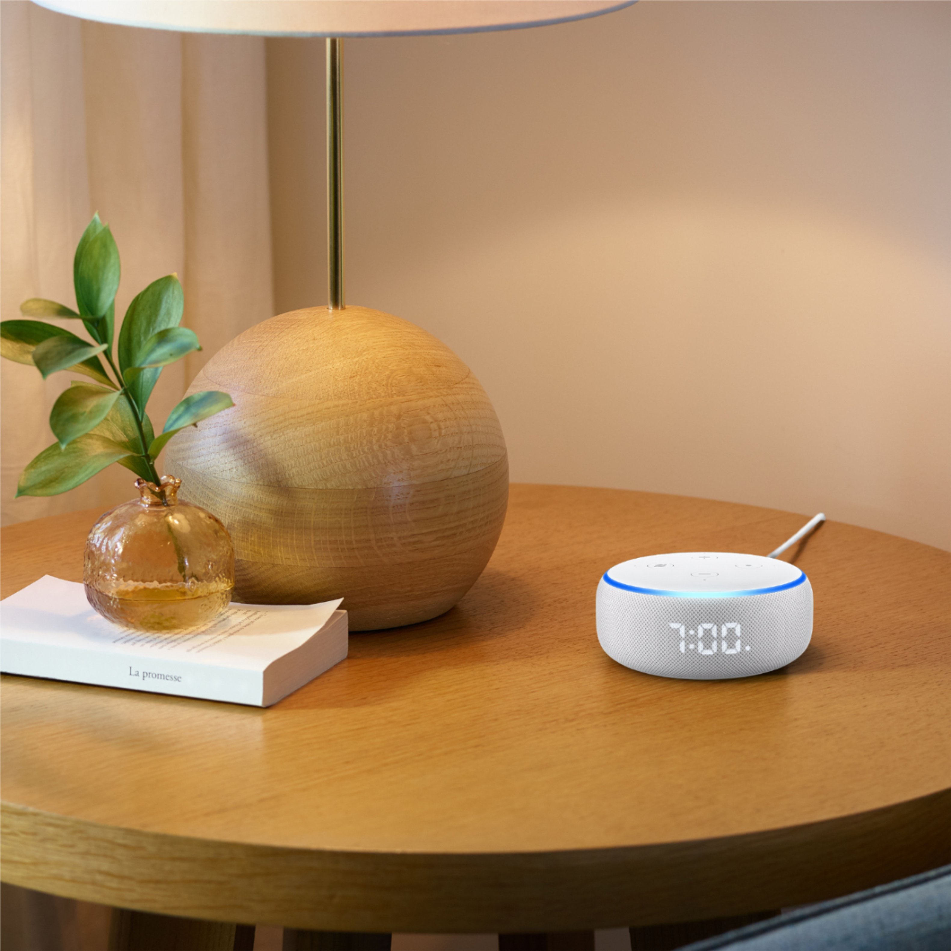 Best Buy:  Echo Dot (3rd Gen) Smart Speaker with Alexa Plum B07W95GZNH
