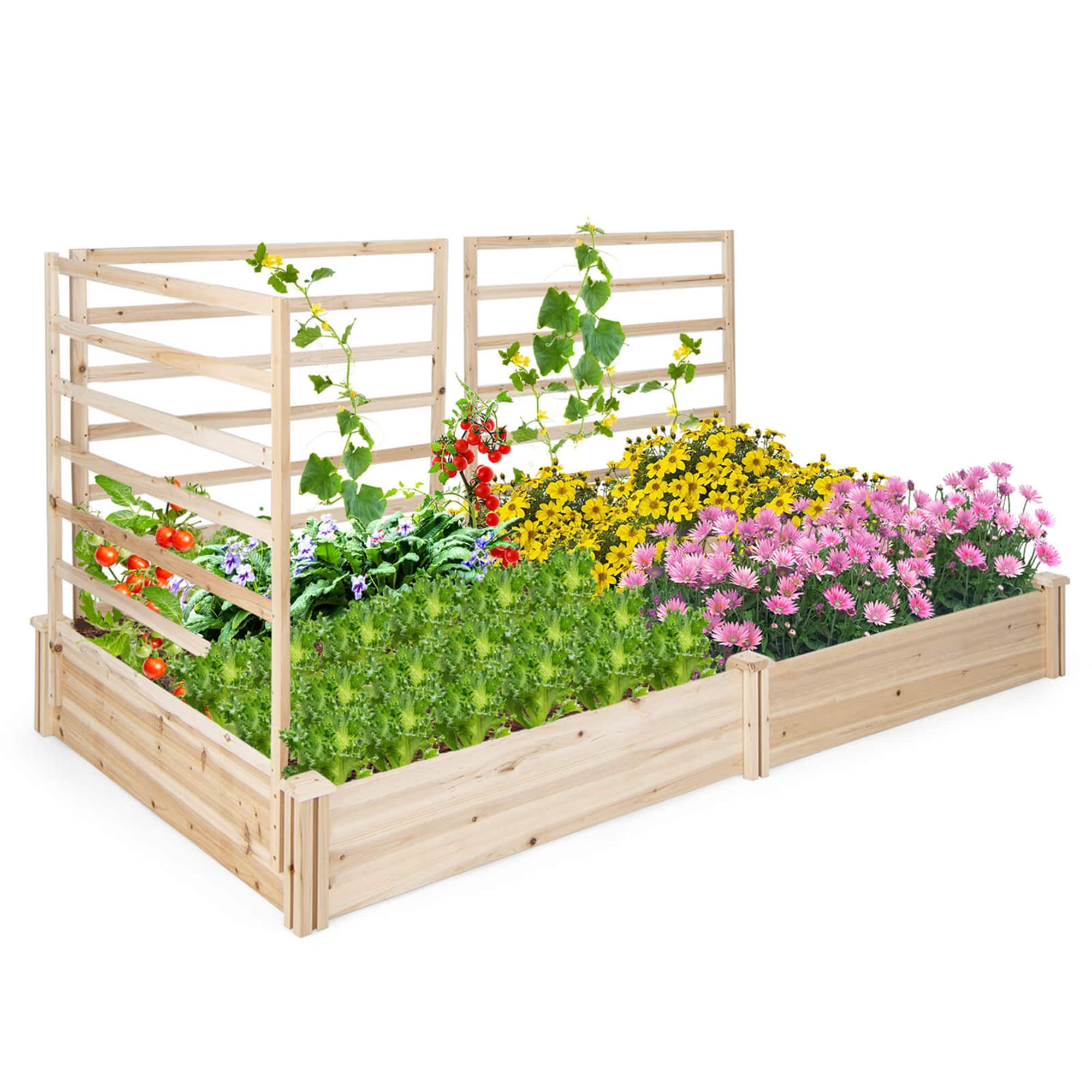 Costway - Raised Garden Bed with 3 Trellises with Divided Compartments for Flowers - Natural
