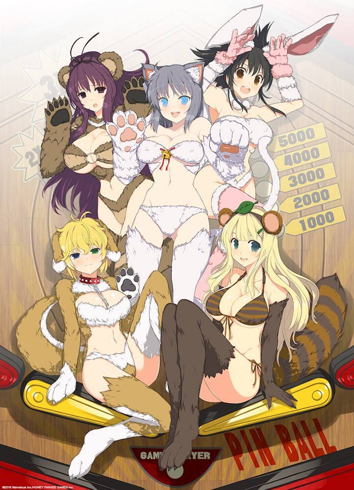 Senran Kagura Peach Ball Officially Heading To The West – NintendoSoup