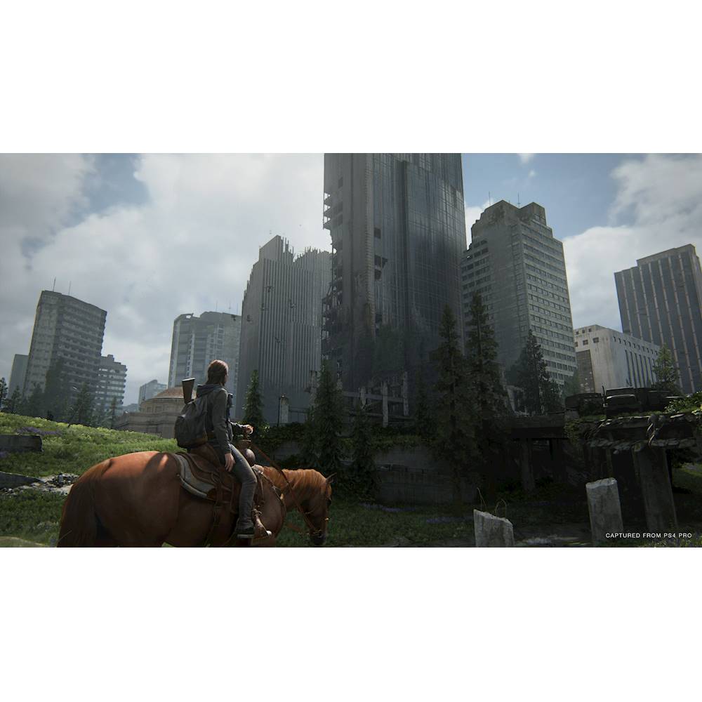 The Last of Us Part 2 Ellie edition (edição de colecionador) - Videogames -  São João do Rio Vermelho, Florianópolis 1257115825