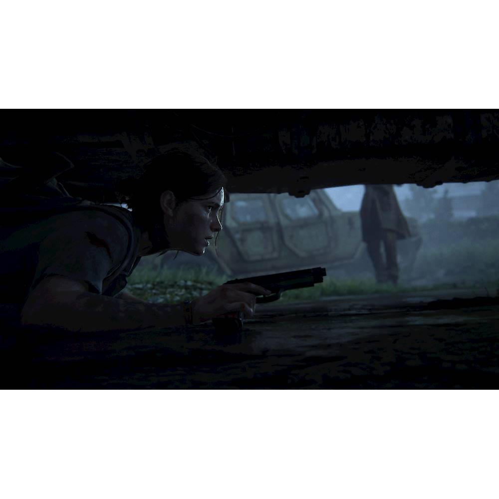 The Last of Us Part II Ellie Edition PS4, Video Gaming, Gaming Accessories,  In-Game Products on Carousell