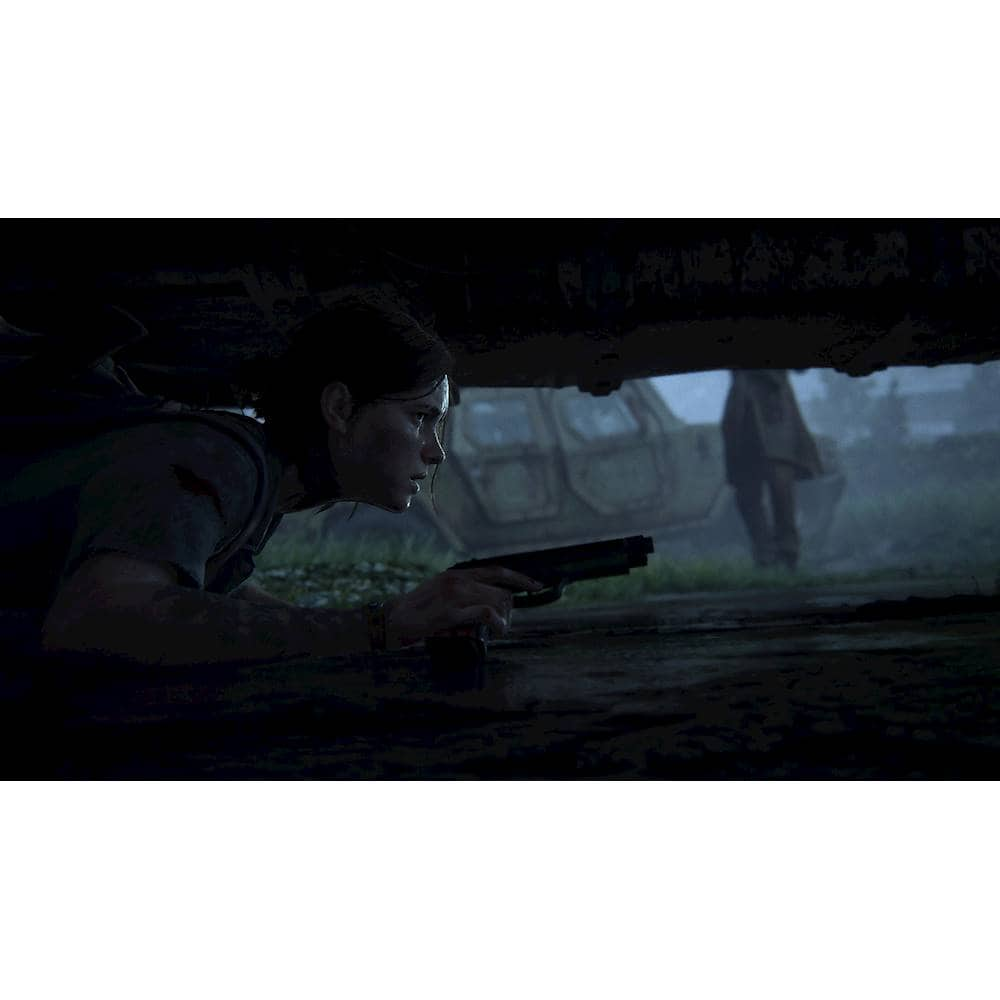 The Last of Us Part II Ellie Edition PS4, Video Gaming, Gaming Accessories,  In-Game Products on Carousell