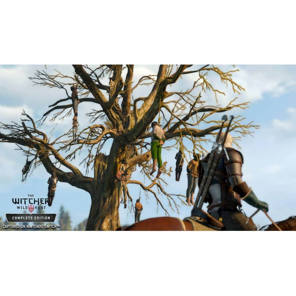 The Witcher 3: Wild Hunt for Nintendo Switch - Nintendo Official Site