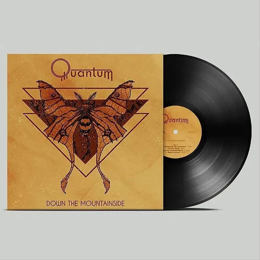 Down the Mountainside [LP] [VINYL] price history on PriceWatchPro