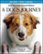 Front Standard. A Dog's Journey [Includes Digital Copy] [Blu-ray/DVD] [2019].