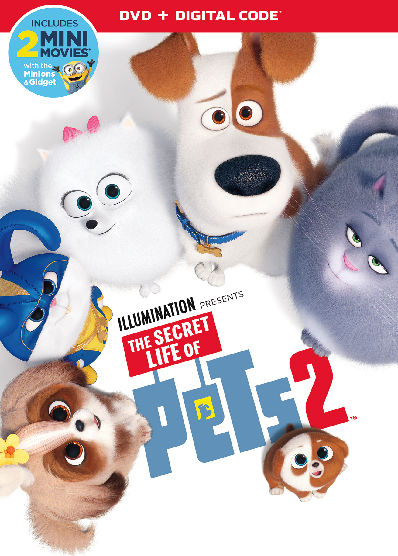 Let op mengsel pianist The Secret Life of Pets 2 [Includes Digital Copy] [DVD] [2019] - Best Buy