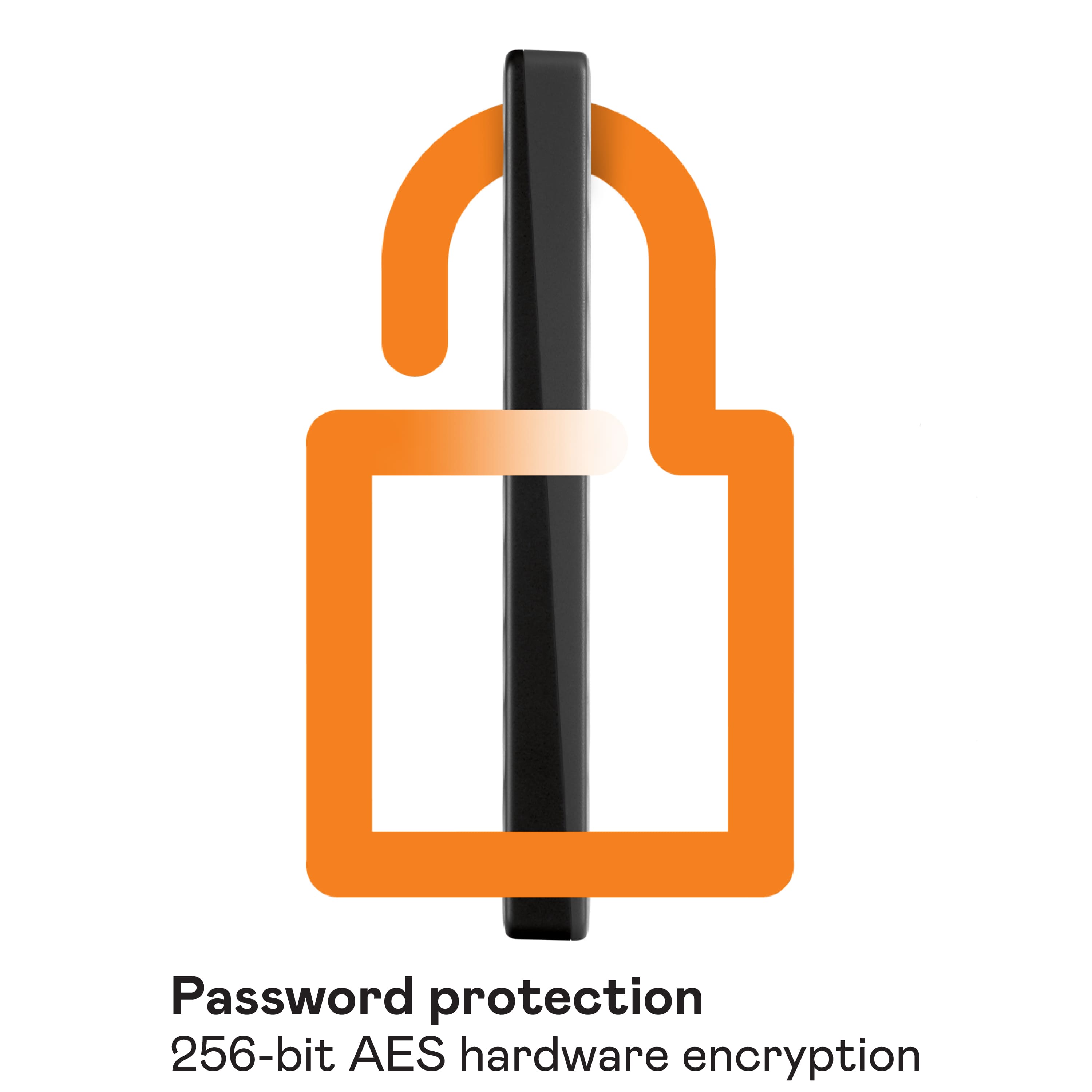 Password protection 256-bit AES hardware encryption.