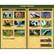 Alt View 15. Individual Software - Typing Instructor Gold.
