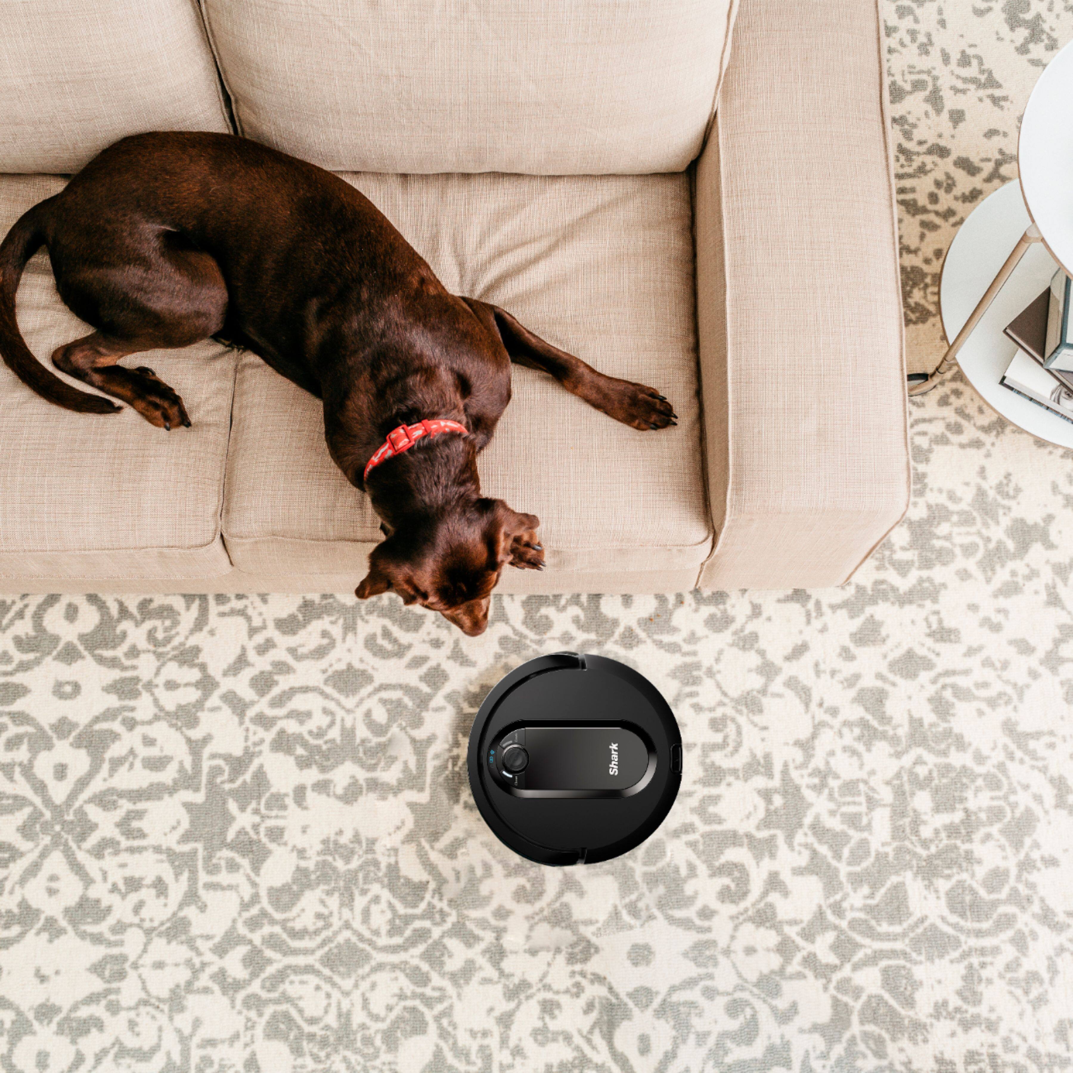 Alt View 24. Shark - IQ Robot R101 Wi-Fi Connected Robot Vacuum - Black.
