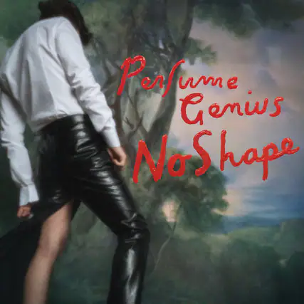 Perfume Genius
No Shape