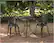Alt View 16. Patio Sense - Theon Outdoor Antique Bronze Cast Aluminum 3-Piece Bistro Set - Antique Bronze.