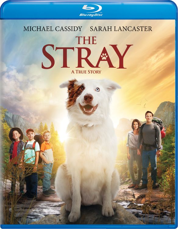 Best Buy: The Stray [Blu-ray] [2017]