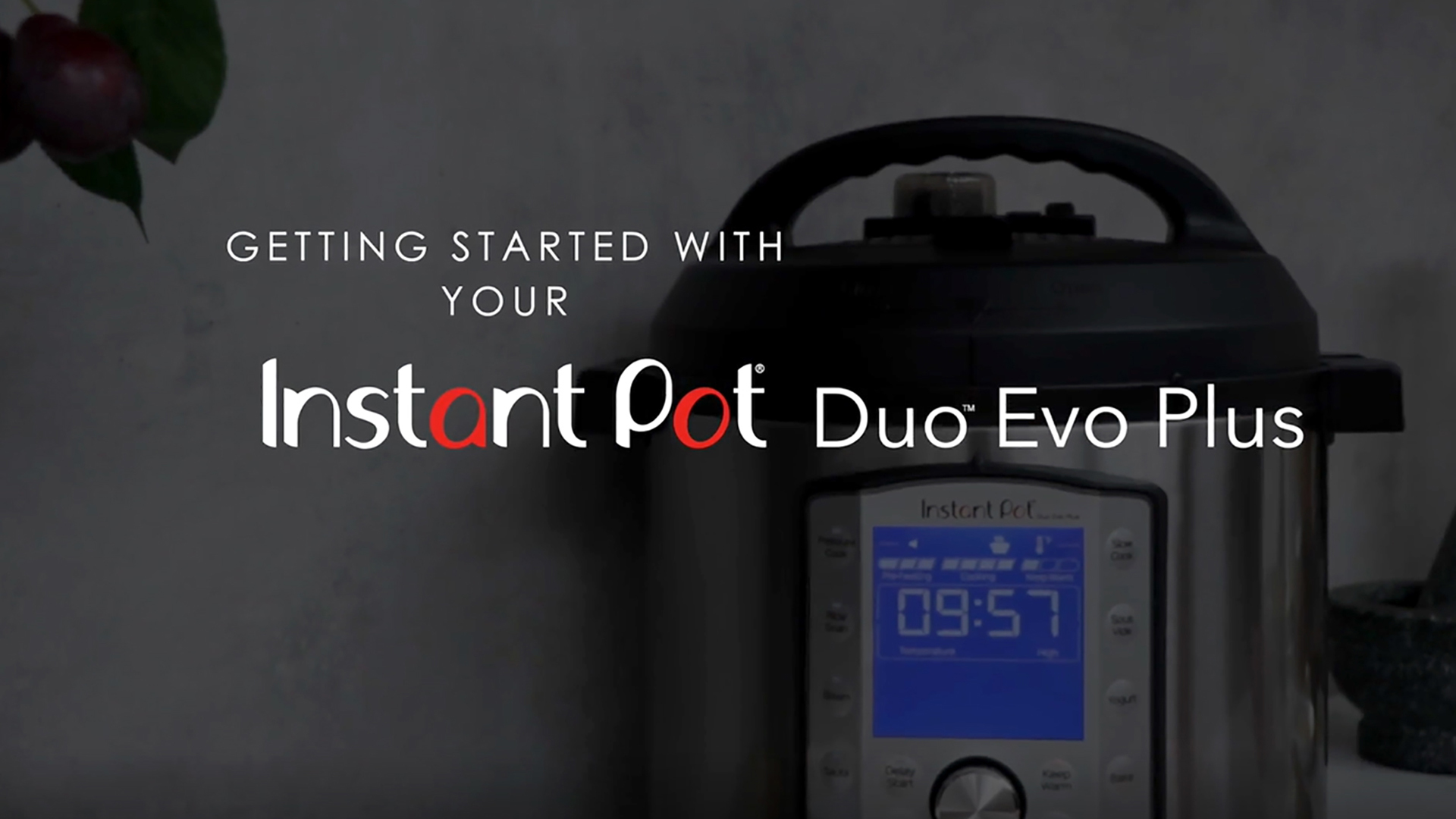 Best Buy Instant Pot Duo Evo Plus 6Quart MultiUse Pressure Cooker