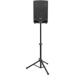Samson - Expedition 12" 300W 2-Way PA Speaker - Black