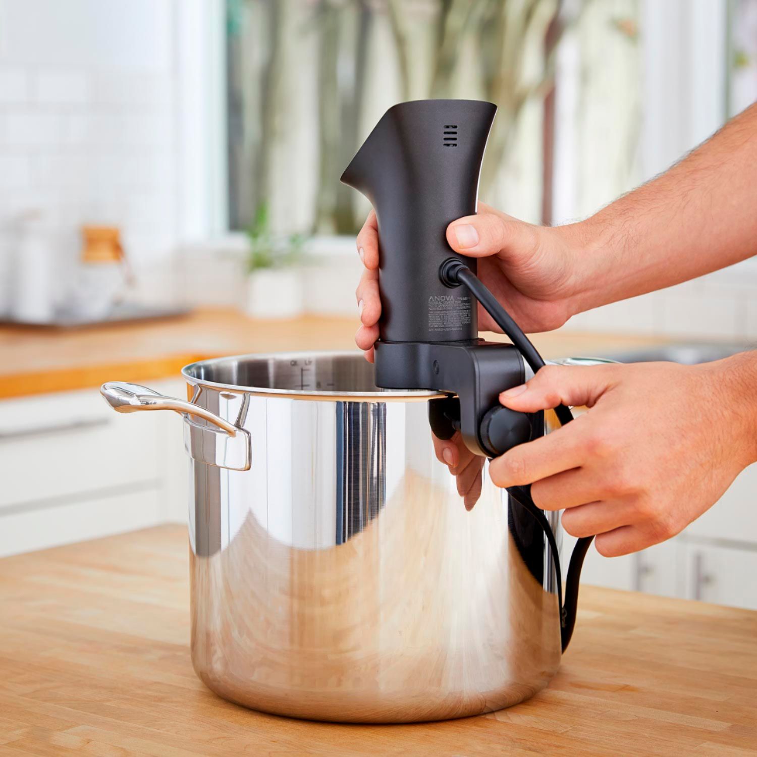  Anova Culinary Precision Cooker with Anova Precision Vacuum  Sealer Bundle: Home & Kitchen