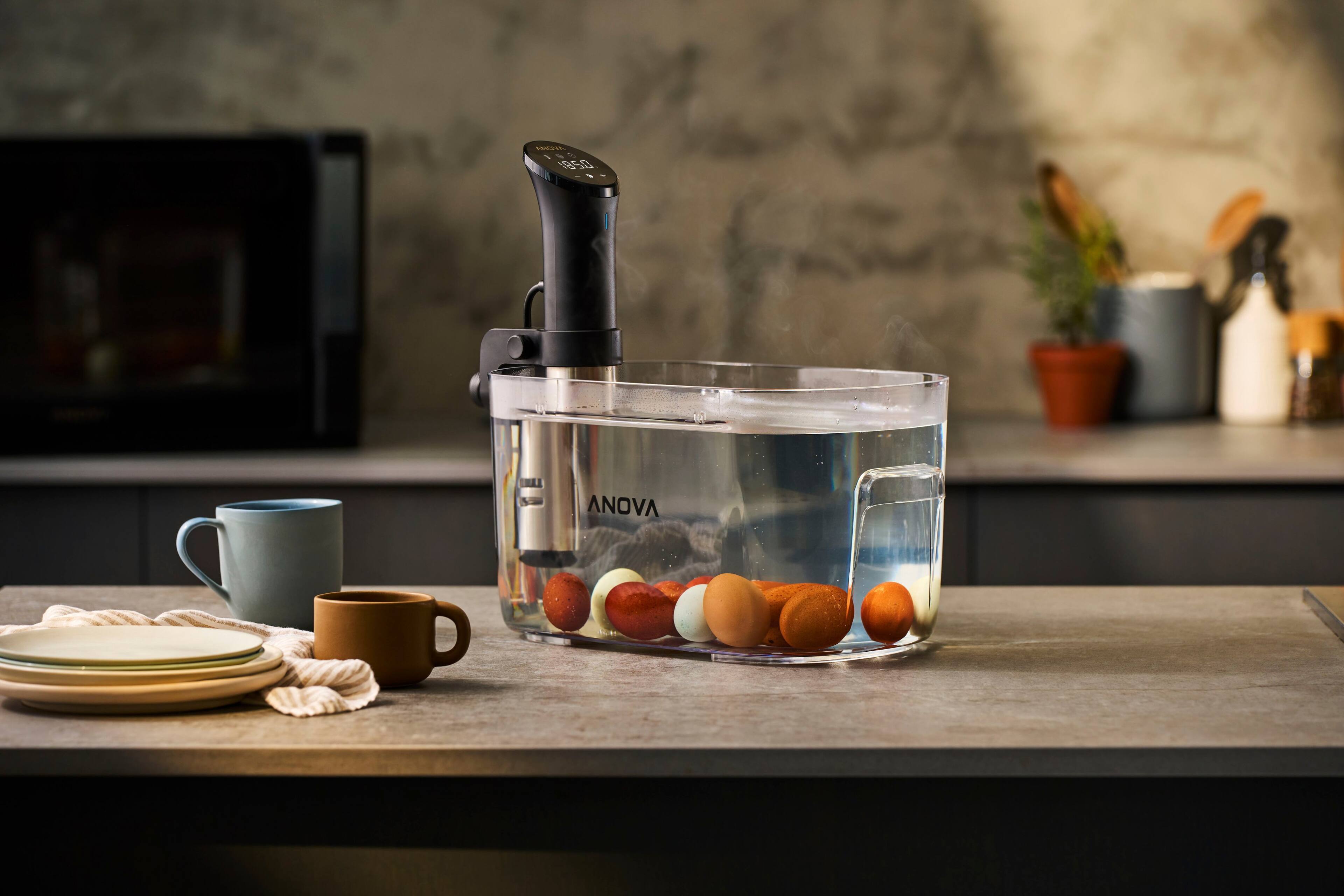 Alt View 17. Anova - Precision Cooker - Black.