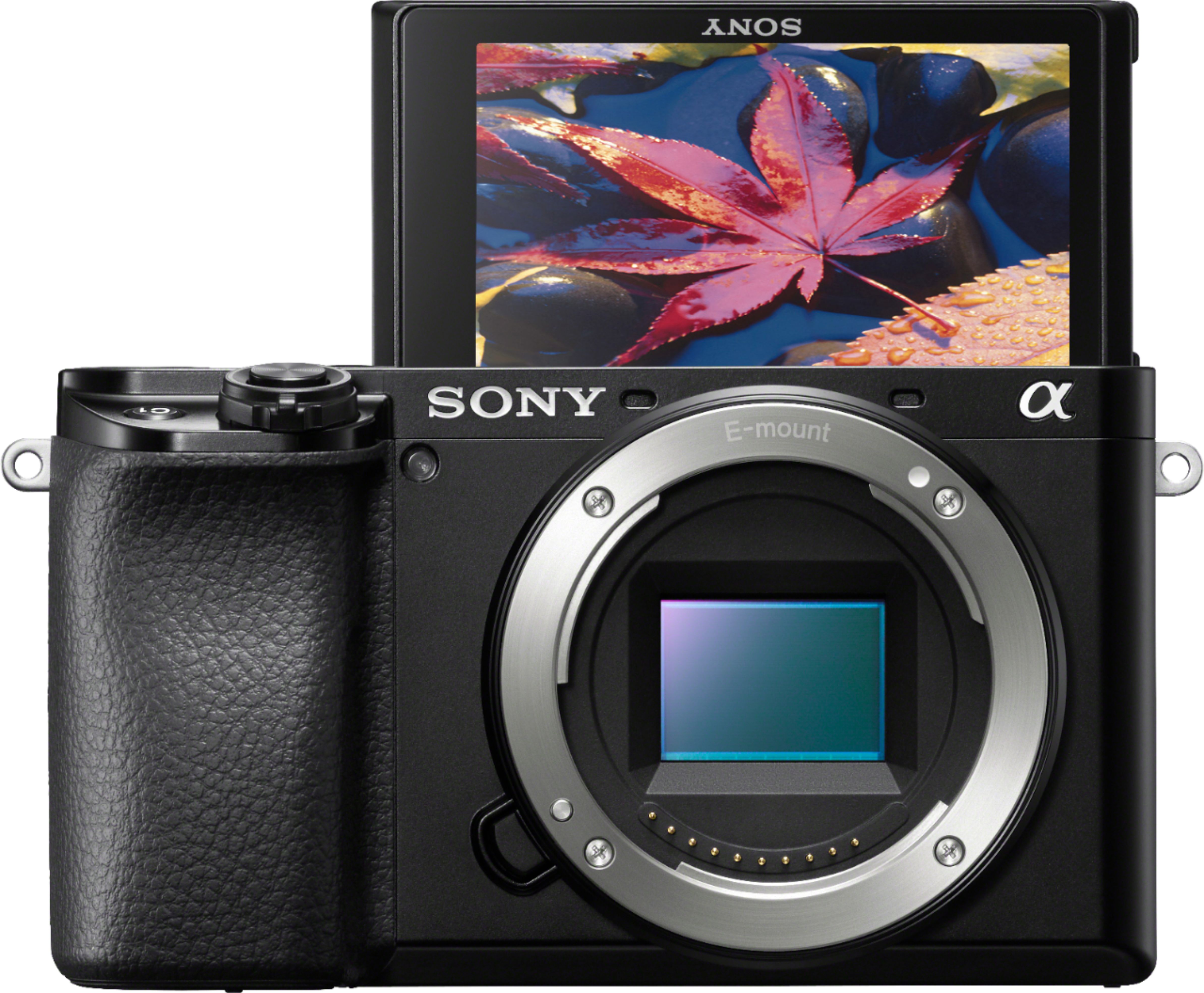 Sony Alpha 6100 Mirrorless Camera (Body Only) Black ILCE6100/B - Best Buy