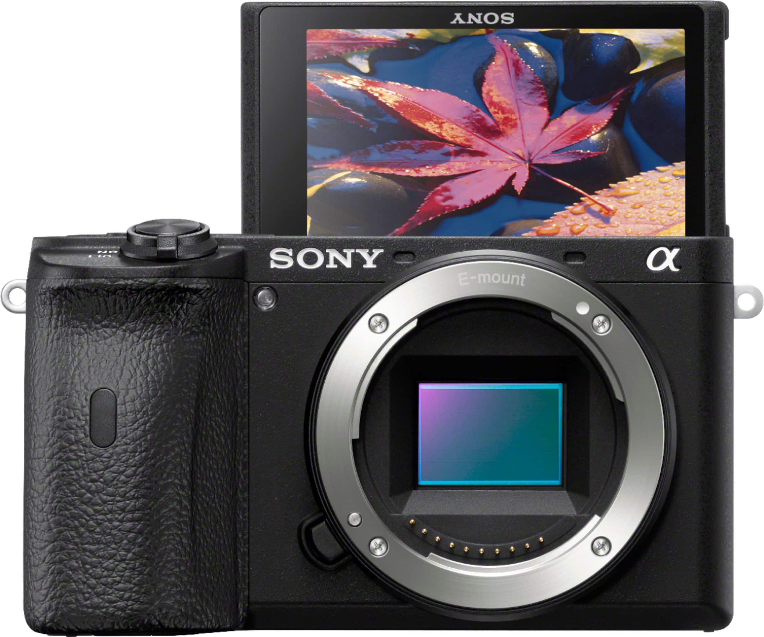 Sony Alpha 6600 APS-C Mirrorless 4K Video Camera (Body Only