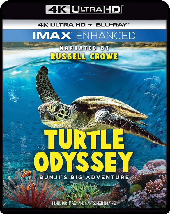 Turtle Odyssey [4K Ultra HD Blu-ray/Blu-ray]