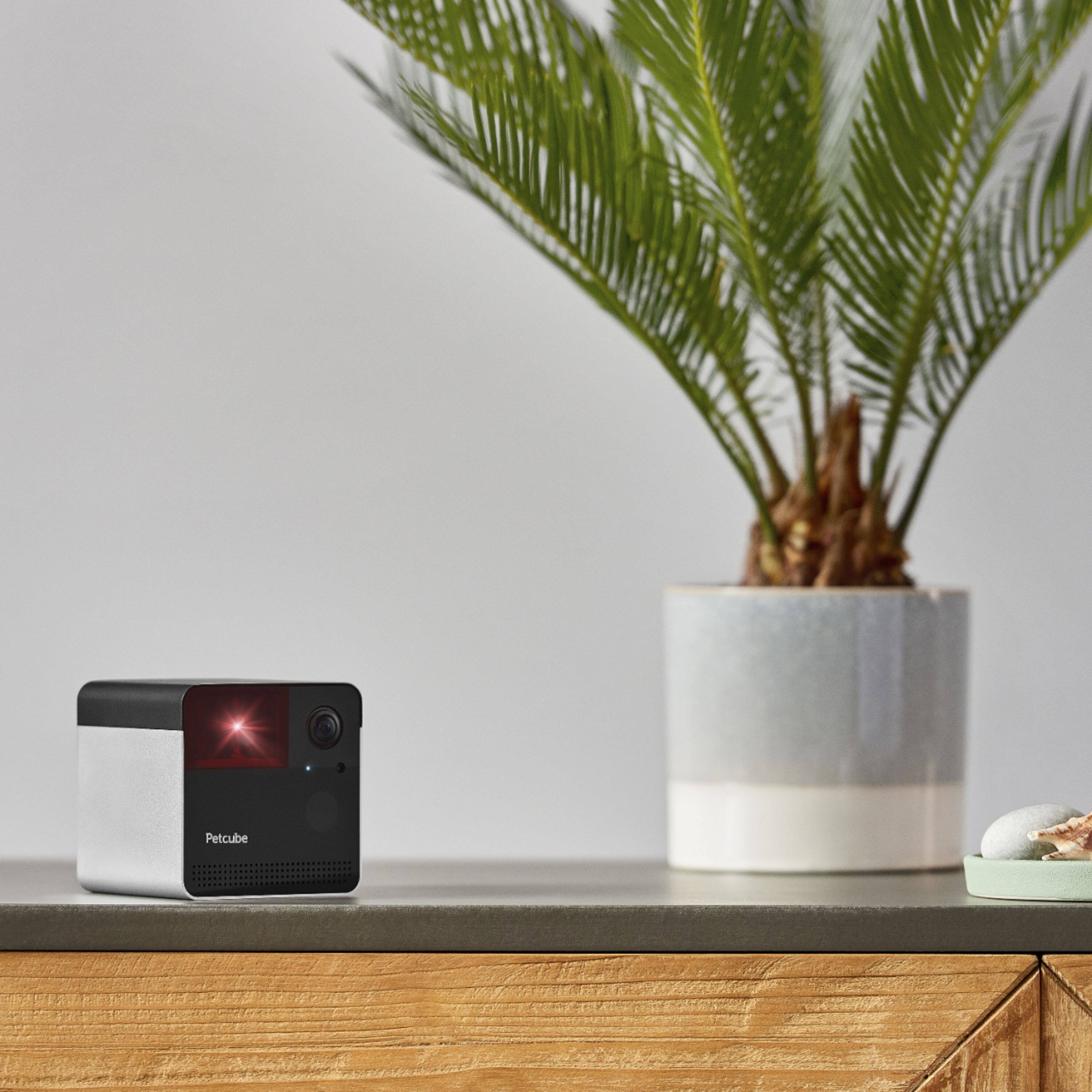 Alt View 18. Petcube - Indoor Wireless 1080p Surveillance System - Matte Silver.