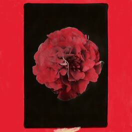 Activity - A Thousand Years in Another Way - VINYL LP
