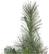 Alt View 11. Noble House - 7' Mixed Spruce Pre-Lit Hinged Artificial Christmas Tree with Glitter Branches, Red Berries, and Pinecones - Green + Clear Lights.