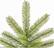 Alt View 11. Noble House - 4.5' Mixed Spruce Unlit Artificial Christmas Tree - Green.