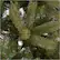 Alt View 12. Noble House - 7' Mixed Spruce Unlit Artificial Christmas Tree - Green.