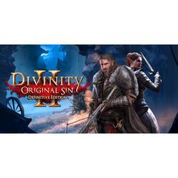 Divinity original sin 2 nintendo deals switch sale