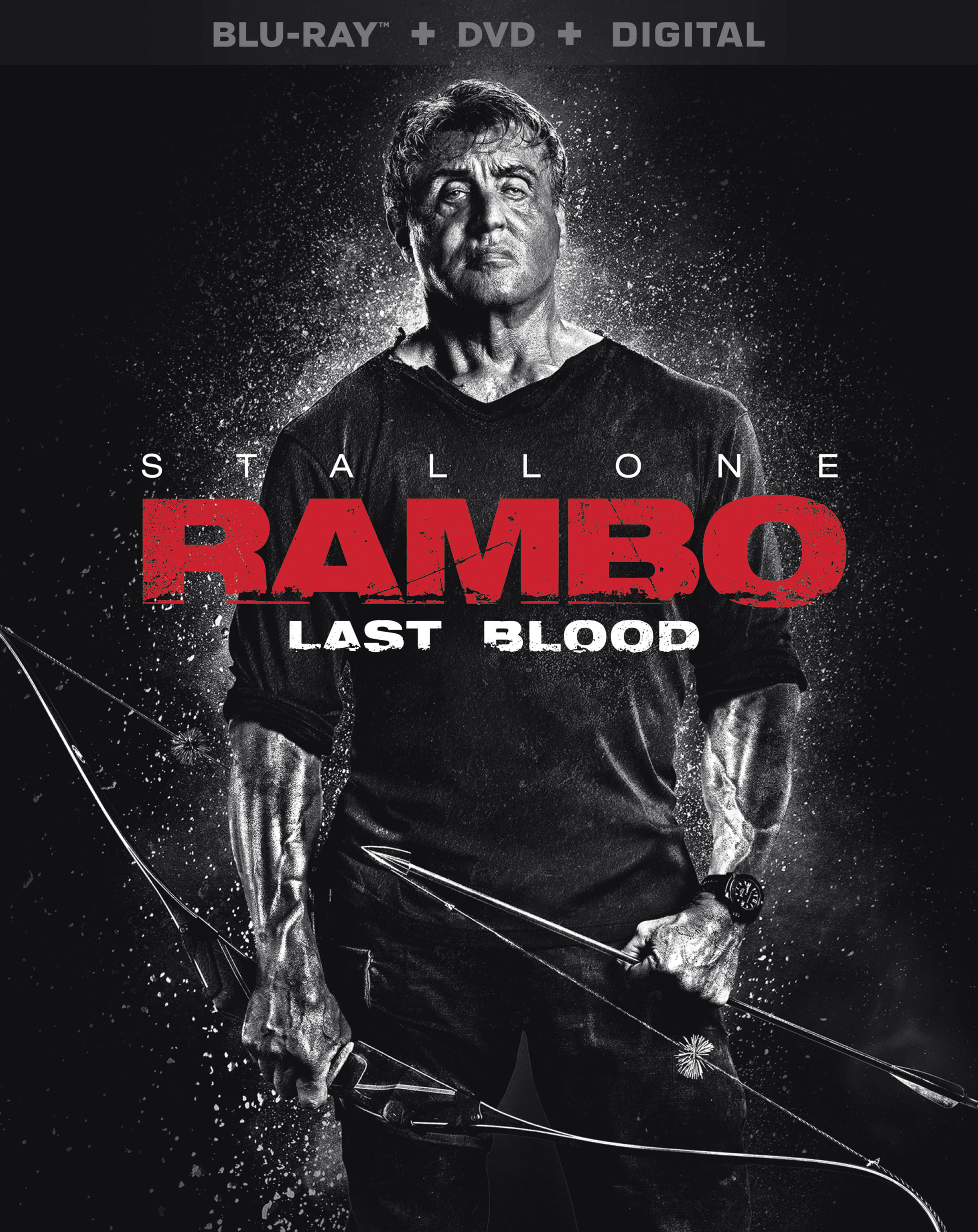 Også Gooey Geologi Rambo: Last Blood [Includes Digital Copy] [Blu-ray/DVD] [2019] - Best Buy