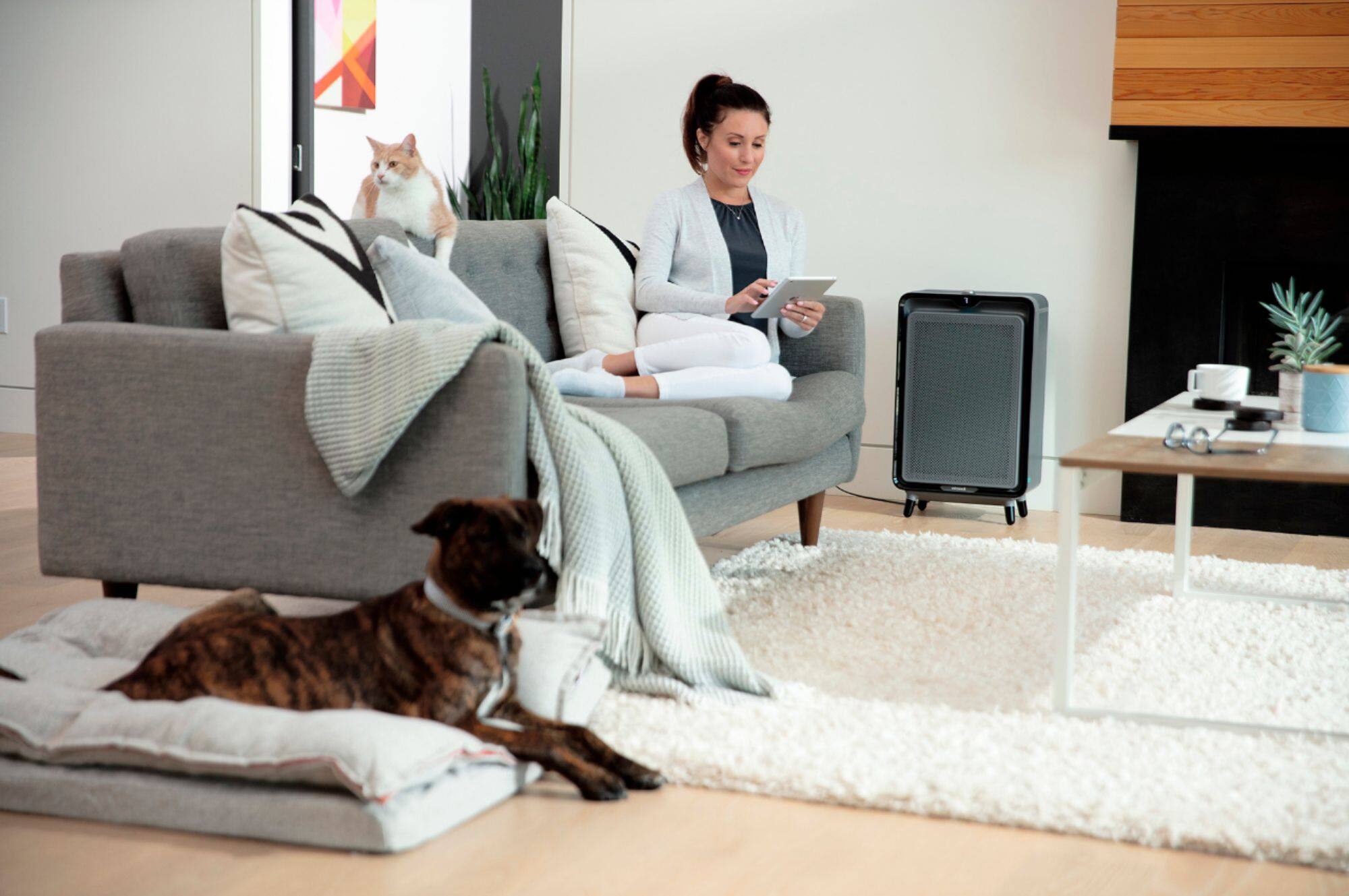 Alt View 18. BISSELL - air220 Air Purifier with HEPA Filter - Black/Gray.