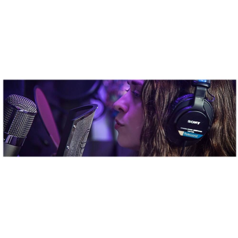 Alt View 12. Warm Audio - Condenser Microphone - Silver.