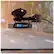 Alt View 12. Escort - iXc Long-Range Radar Detector and M1 Dash Cam Bundle.