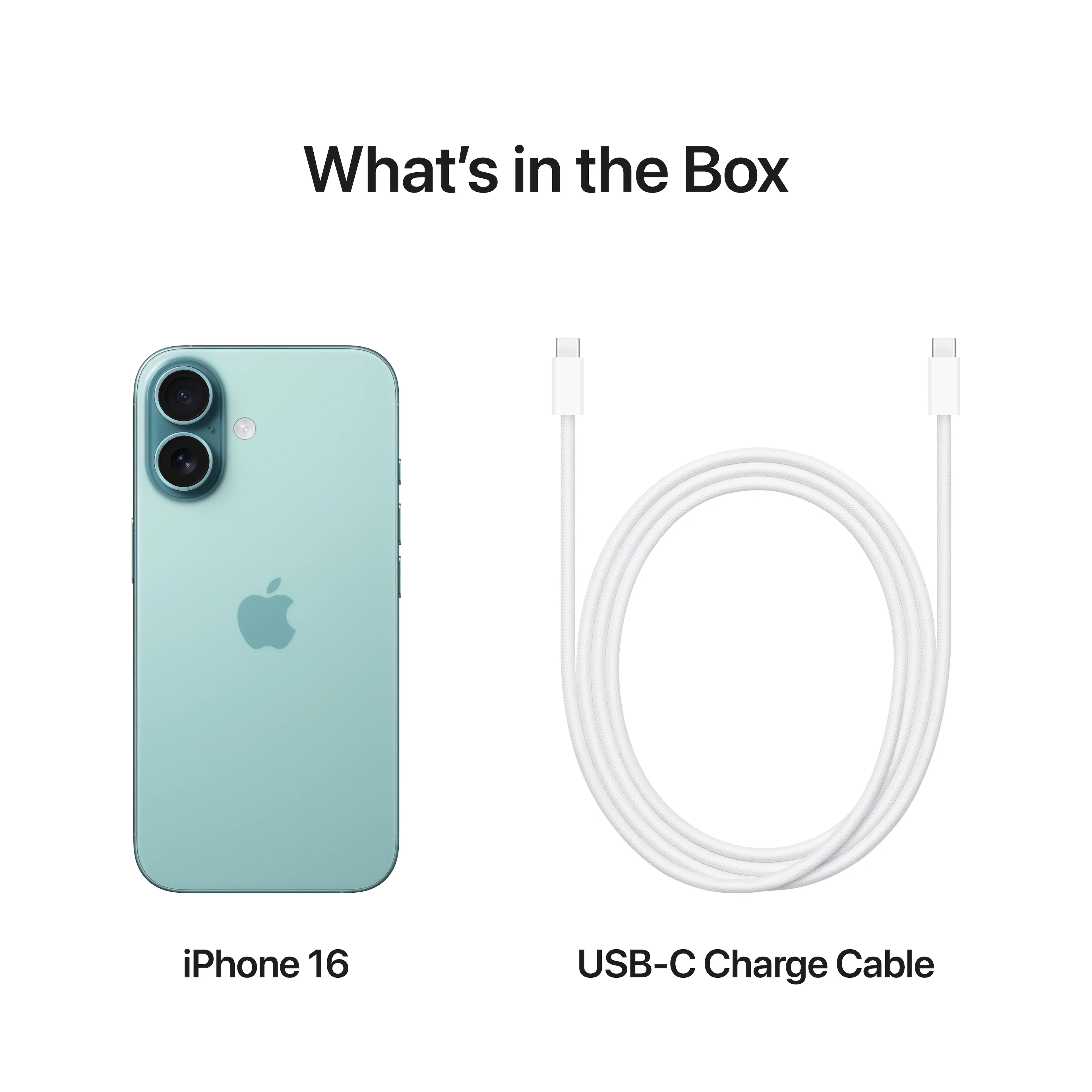 What's in the Box: iPhone 16 USB-C Charge Cable