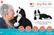 Angle. Joy for All - Companion Pet Cat - Tuxedo.