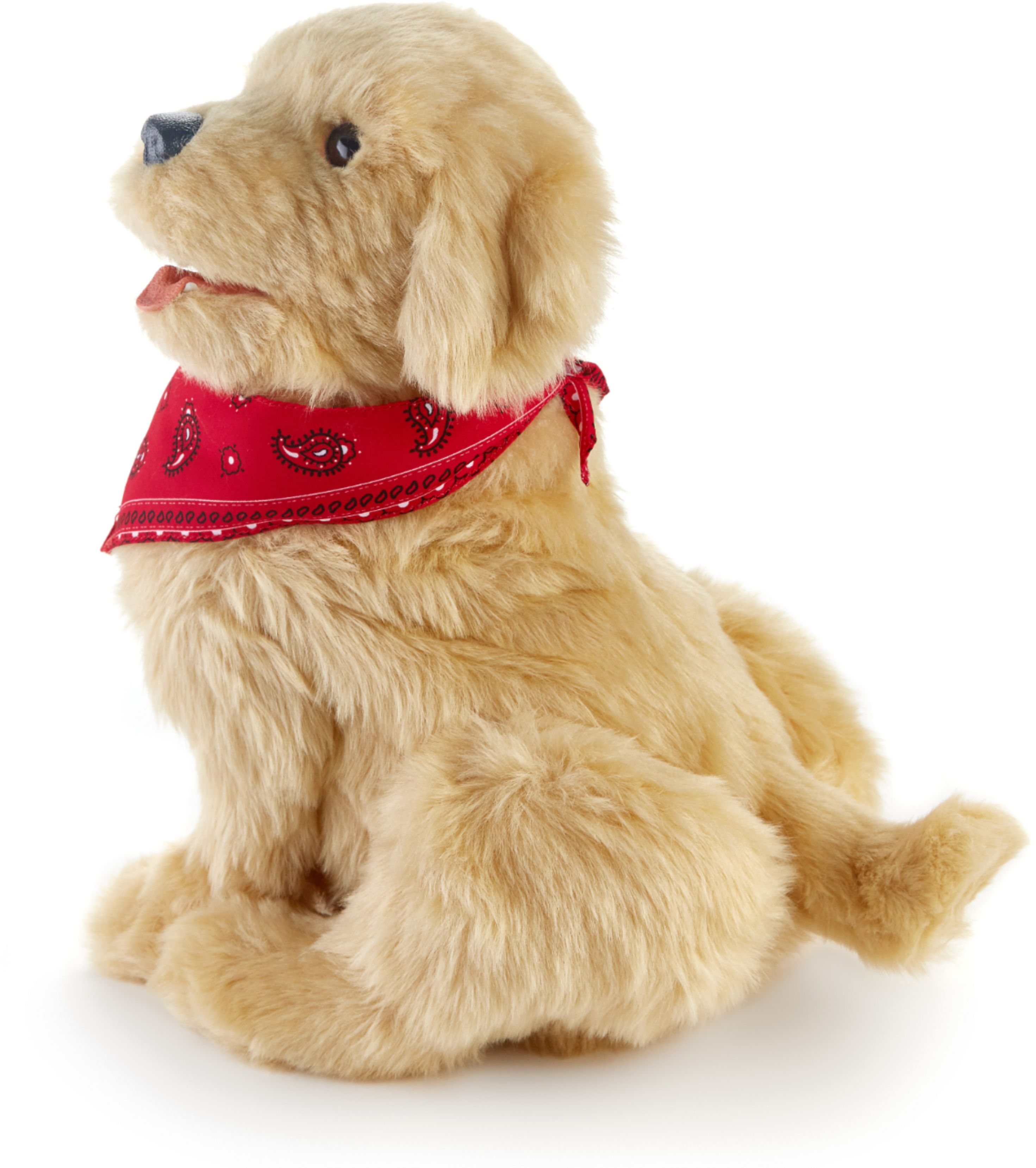  JOY FOR ALL Ageless Innovation Companion Pets Golden Pup  Lifelike & Realistic : Hasbro: Everything Else