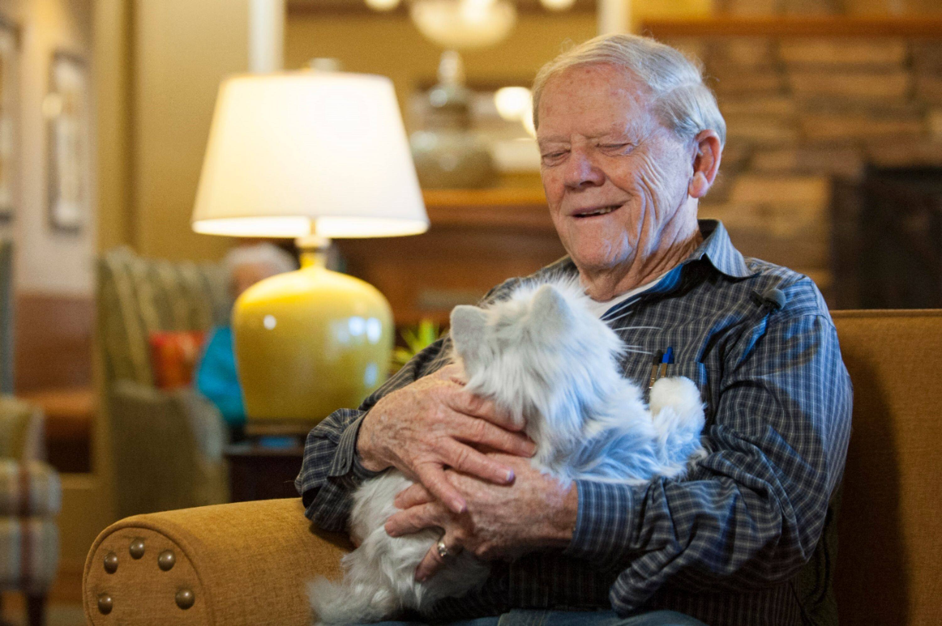 Alt View 14. Joy for All - Companion Pet Cat - Silver With White Mitts.