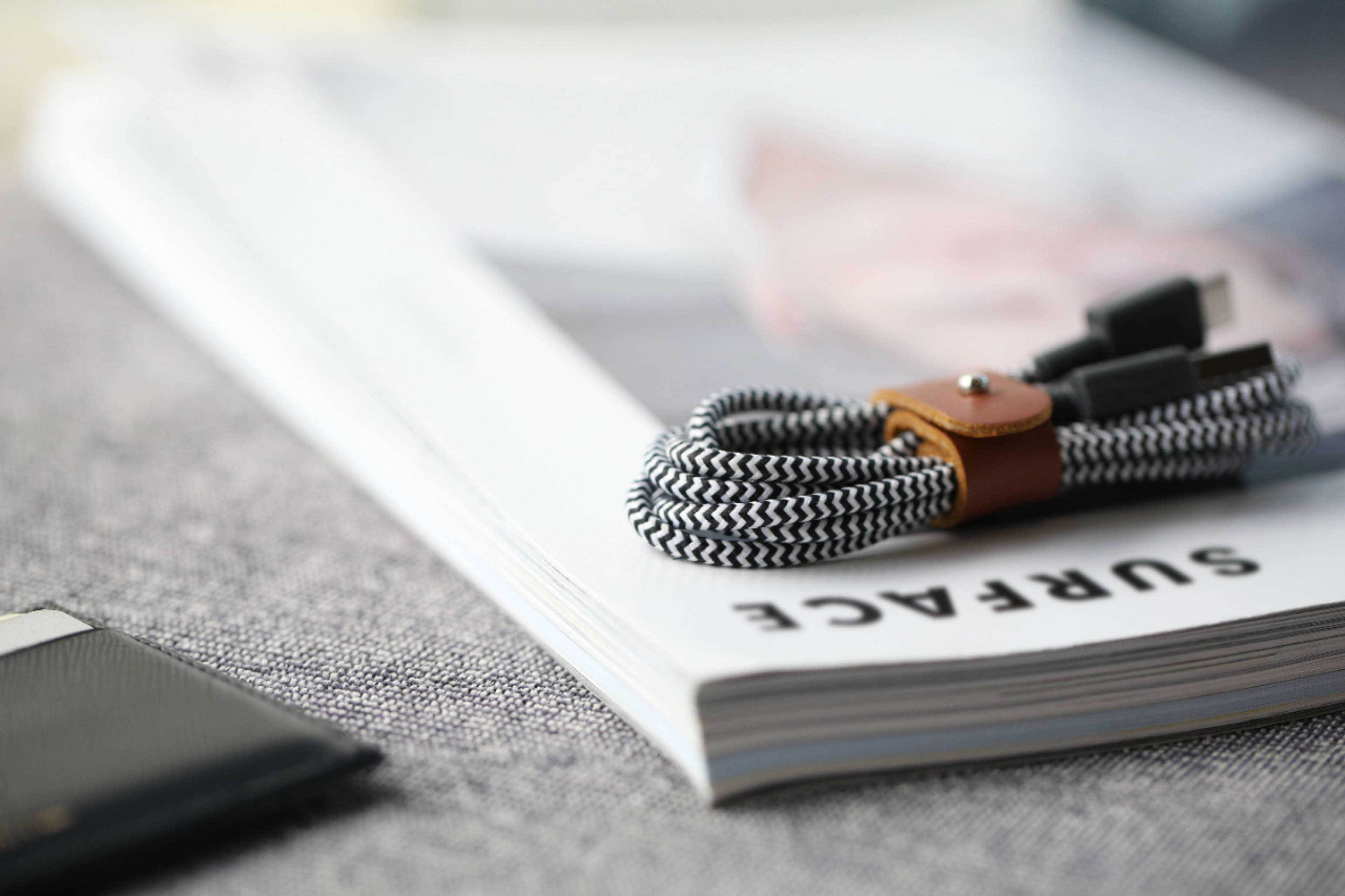 Alt View 15. Native Union - 4' USB Type C-to-USB Type A Cable - Zebra.