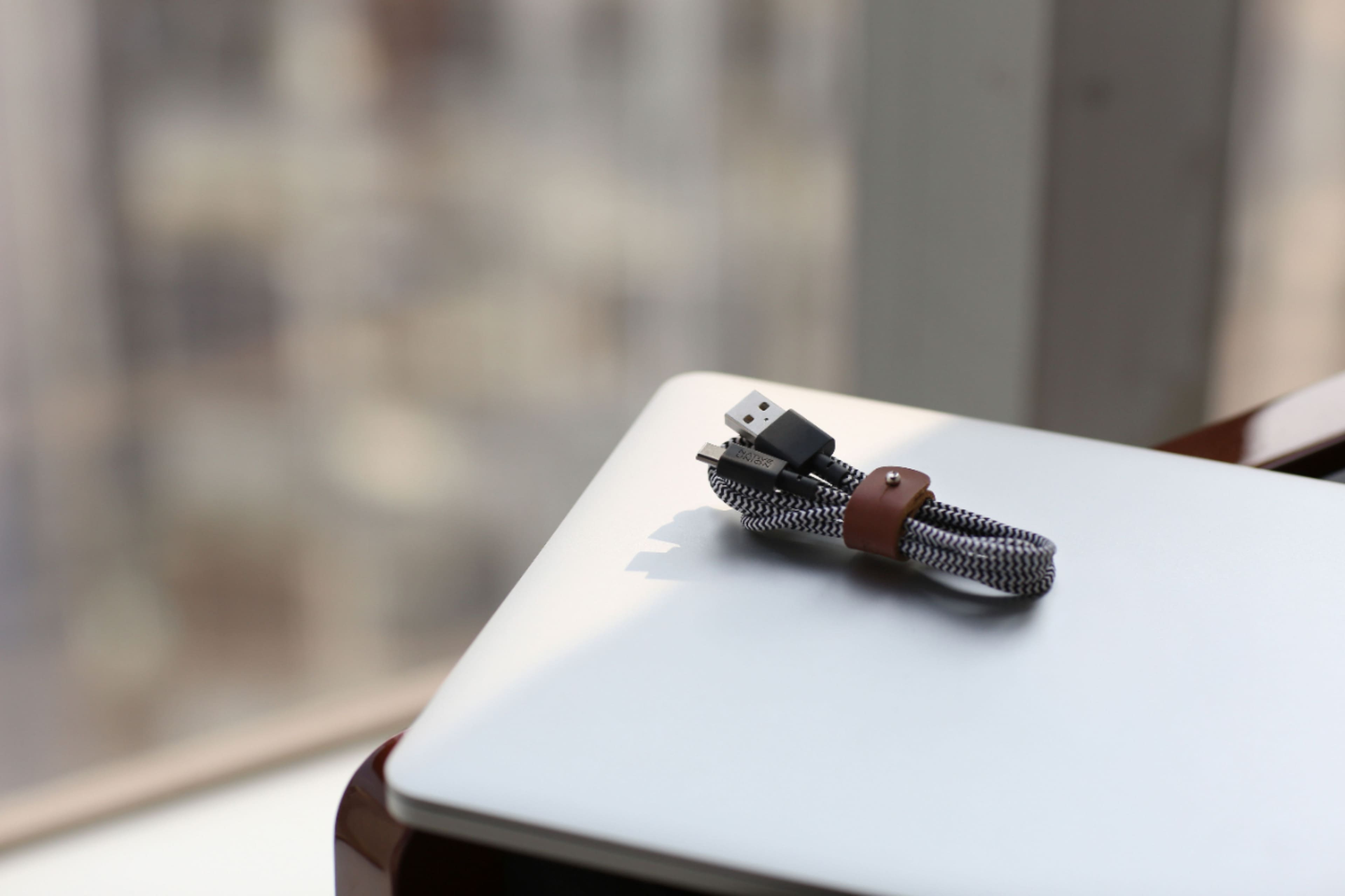 Alt View 16. Native Union - 4' USB Type C-to-USB Type A Cable - Zebra.