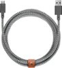 Native Union - 10' USB Type C-to-USB Type A Cable - Zebra