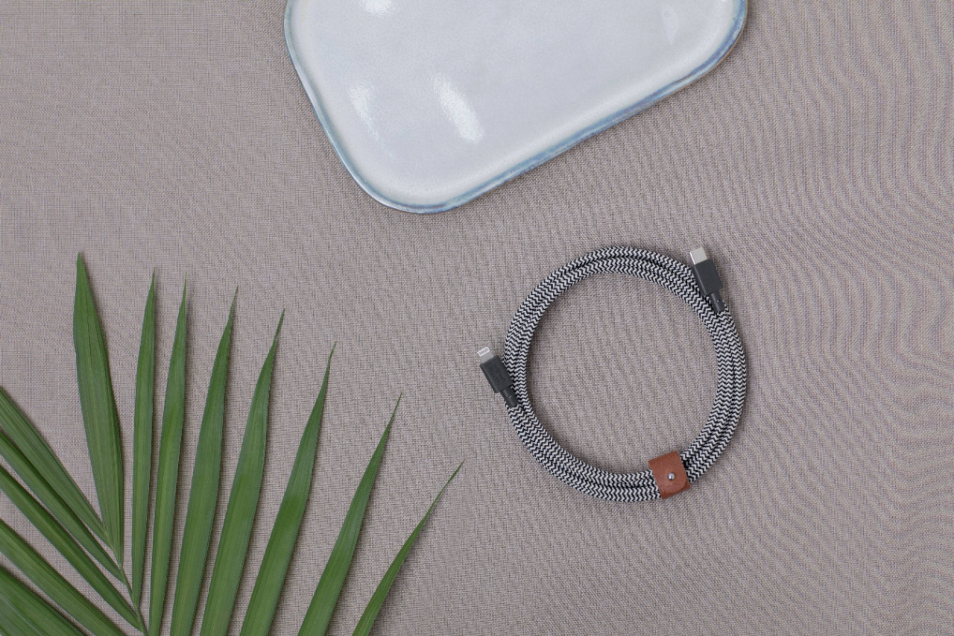 Alt View 12. Native Union - 10' Fast Charging Lightning-to-USB Type C Cable 60W - Zebra.