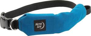 Nite Ize - Raddog All-In-One Collar with Leash - Blue - Front_Zoom