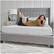 Alt View 13. Sealy - 8" Memory Foam Full Mattress - White.