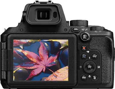 Nikon Coolpix P950 Review P950 Birding Nikon Coolpix P950