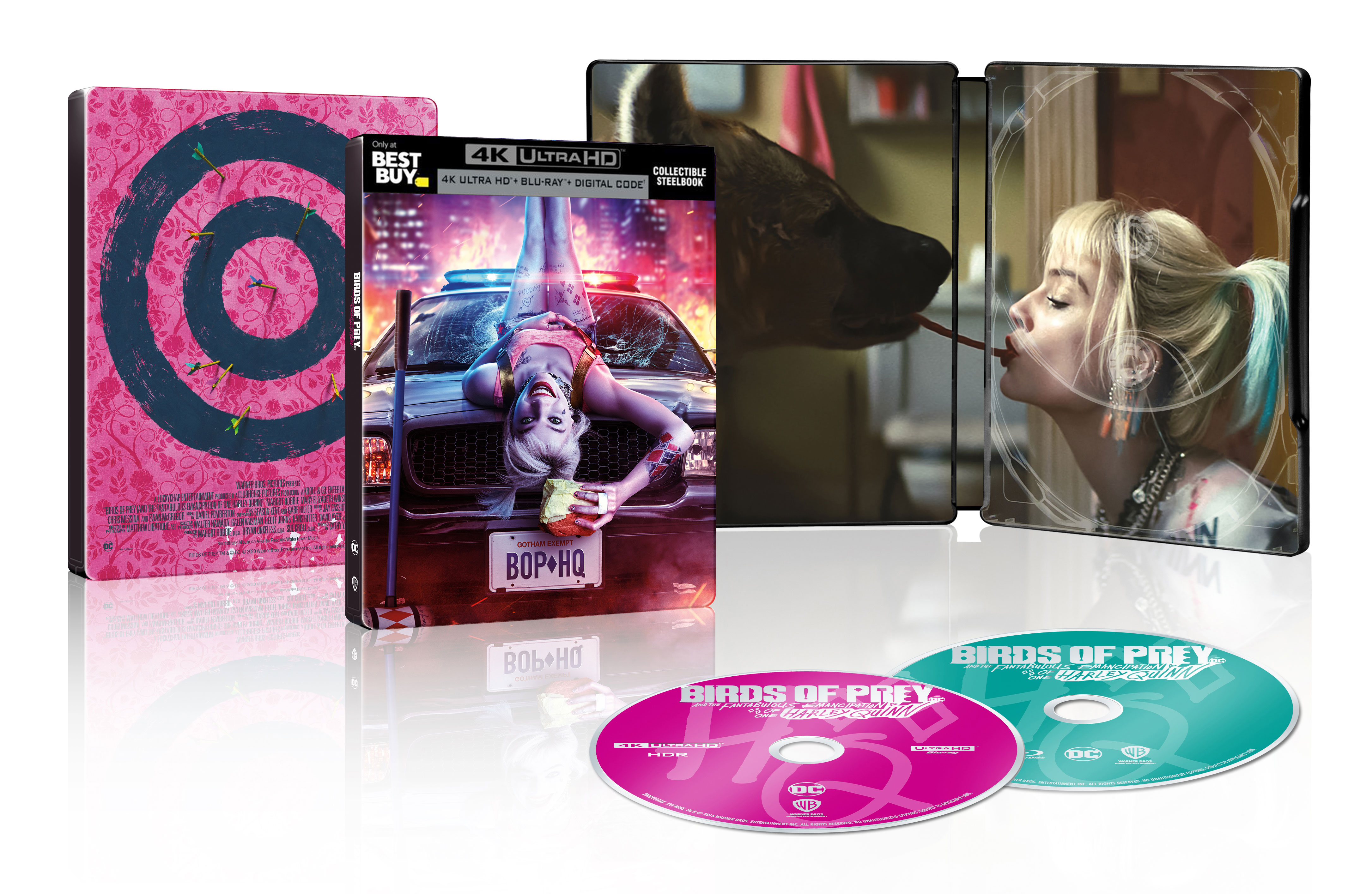 Birds Of Prey Steelbook Includes Digital Copy 4k Ultra Hd Blu Ray Blu Ray Only Best Buy Best Buy