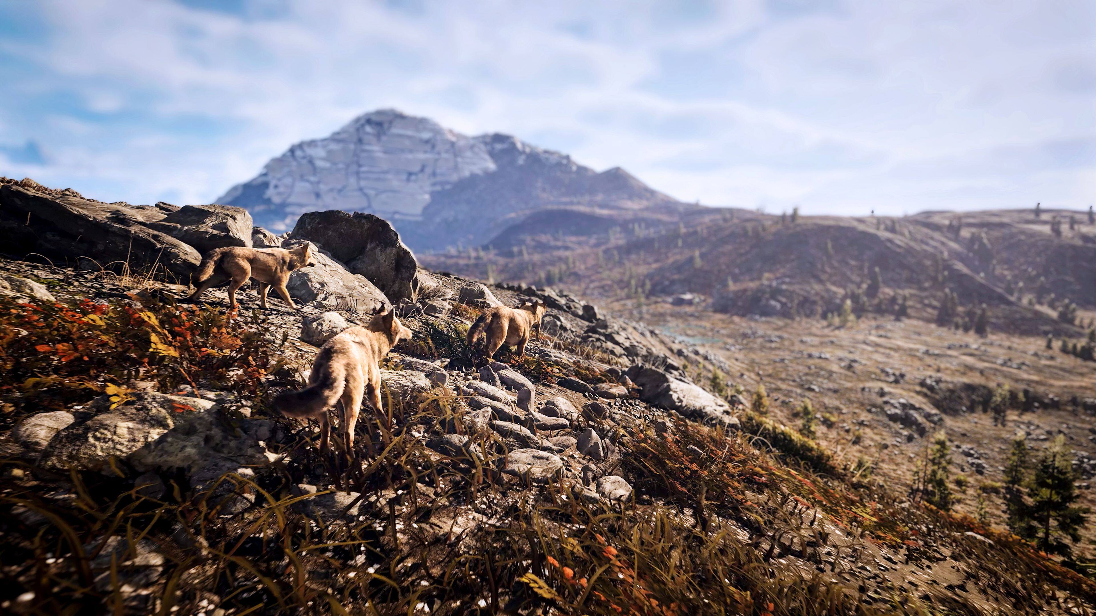 Alt View 11. Solutions 2 Go - Hunting Simulator 3 for Playstation 5.