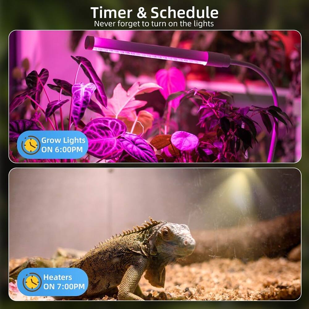 Timer & Schedule  
Never forget to turn on the lights  

Grow Lights ON 6:00PM  

Heaters ON 7:00PM